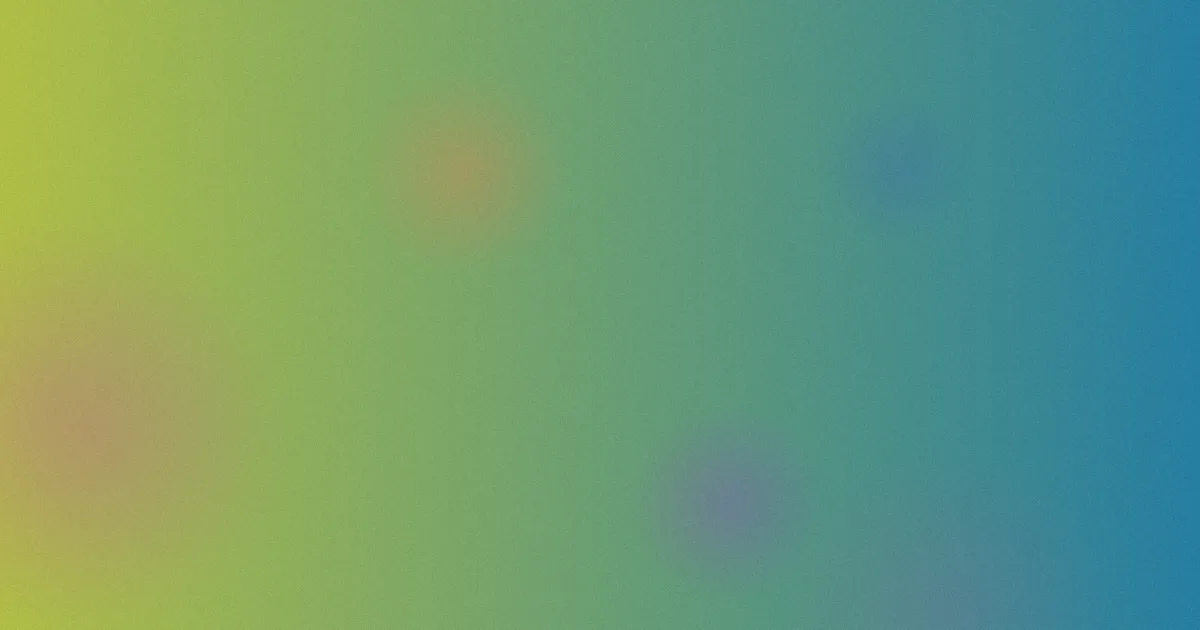 knockout测评：鸡翅避坑版